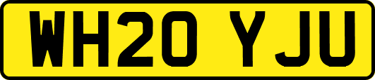 WH20YJU