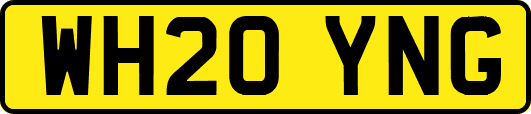 WH20YNG