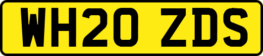 WH20ZDS