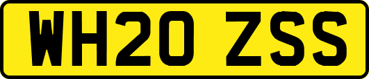 WH20ZSS