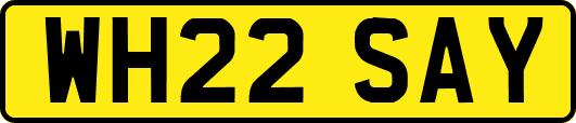 WH22SAY