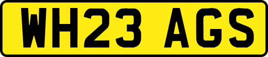 WH23AGS