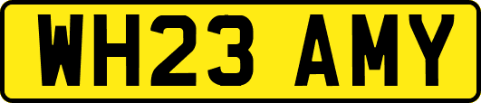 WH23AMY