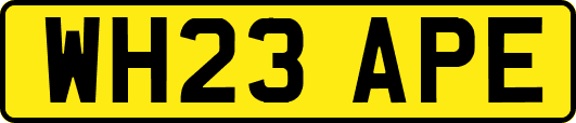 WH23APE