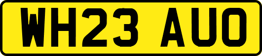 WH23AUO