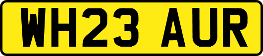 WH23AUR