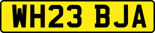 WH23BJA