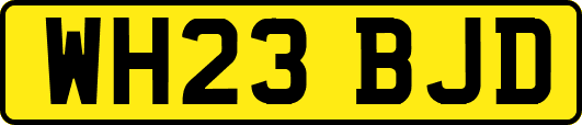 WH23BJD