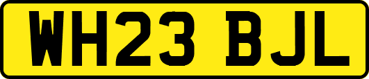 WH23BJL