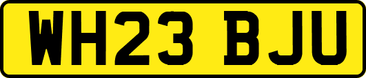 WH23BJU