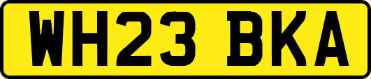 WH23BKA