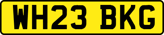 WH23BKG
