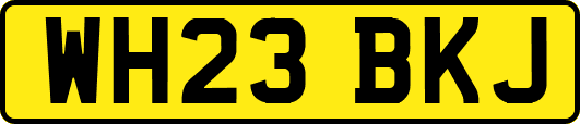 WH23BKJ