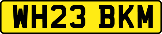 WH23BKM