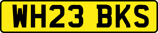 WH23BKS