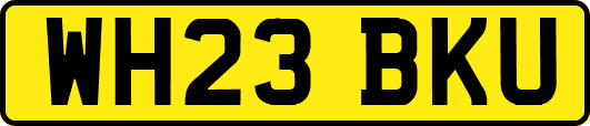 WH23BKU