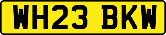 WH23BKW