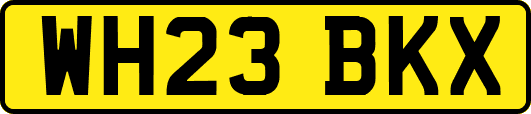 WH23BKX
