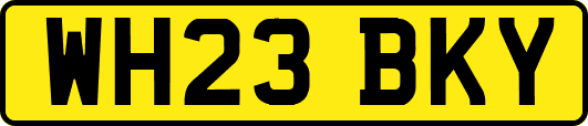 WH23BKY