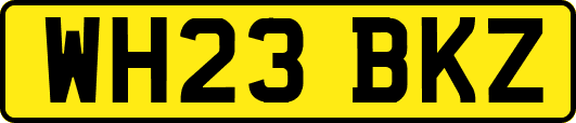 WH23BKZ