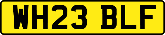 WH23BLF