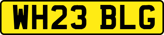 WH23BLG