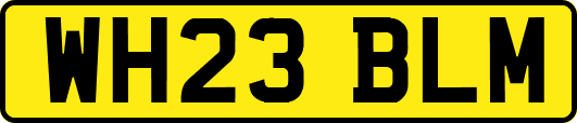 WH23BLM