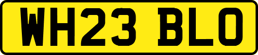 WH23BLO