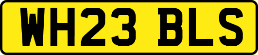 WH23BLS