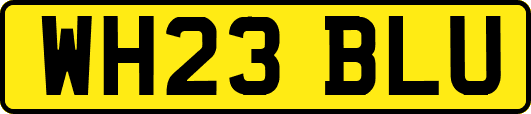 WH23BLU
