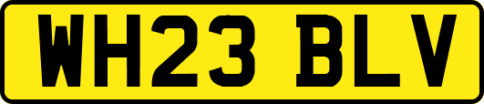 WH23BLV
