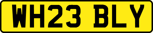WH23BLY