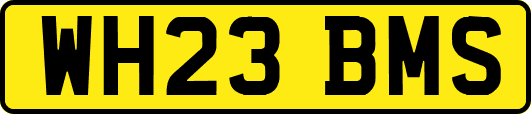 WH23BMS