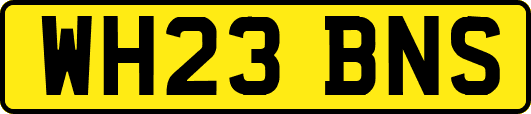 WH23BNS