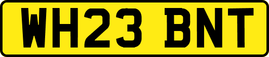 WH23BNT