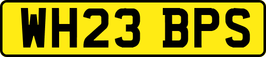 WH23BPS