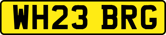 WH23BRG