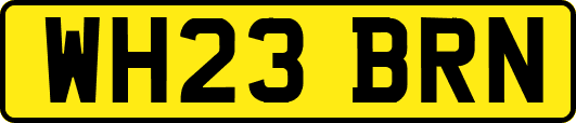WH23BRN