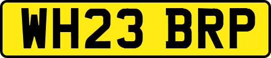 WH23BRP