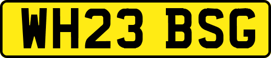 WH23BSG