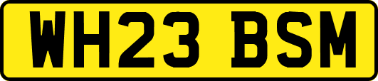 WH23BSM