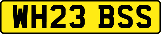 WH23BSS