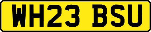 WH23BSU