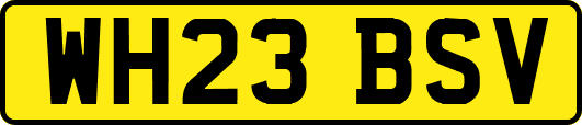 WH23BSV