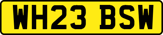 WH23BSW