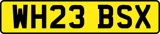 WH23BSX