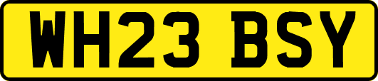 WH23BSY