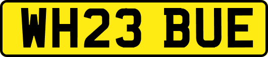 WH23BUE