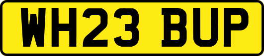 WH23BUP
