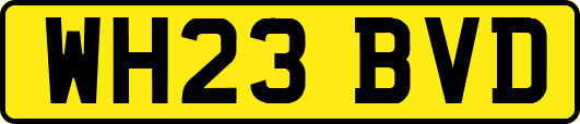 WH23BVD